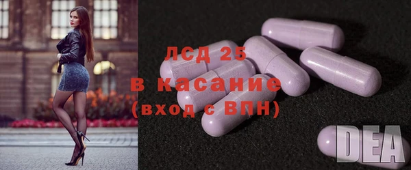 spice Горняк