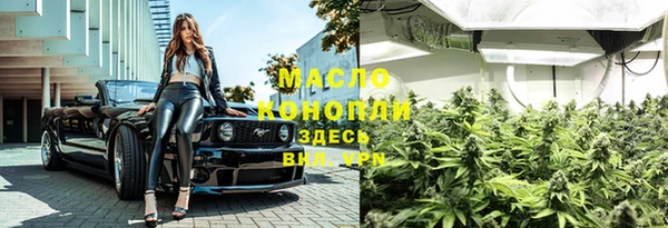 spice Горняк