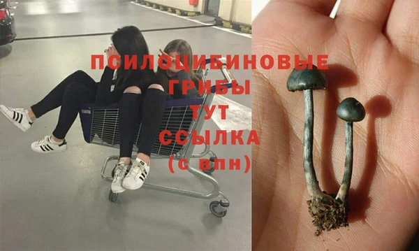 MESCALINE Горнозаводск